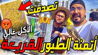 كارتة كلشي كاعي..اتمنة الطيور القريعة... أتمنة الأكل غاليا بزاف