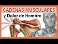 🔴DOLOR de HOMBRO 👉 CAUSA Tendinitis del Hombro o SUPRAESPINOSO - Cadenas Musculares 😱TE SORPRENDERÁ!