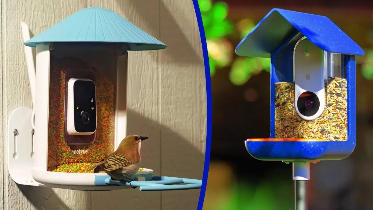 BEST BIRD FEEDER CAMERAS 2024 - THE ONLY 5 YOU SHOULD CONSIDER TODAY! 
