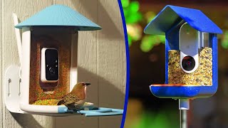 BEST BIRD FEEDER CAMERAS 2024   THE ONLY 5 YOU SHOULD CONSIDER TODAY!