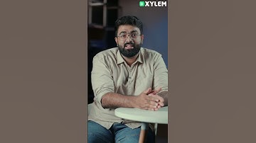 Plus Two Commerce Onam Exam Option Papers LIVE‼️ | Xylem Plus One Commerce