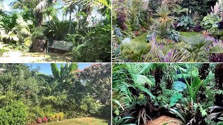 4 Amazing Private Tropical Jungle Gardens from around the world