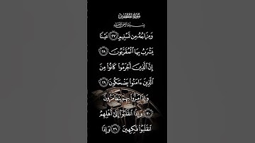 سورة المطففين ومزاجه من تسنيم عينا يشرب بها المقربون الايةً ٢٧ إلى الاية ٣١
