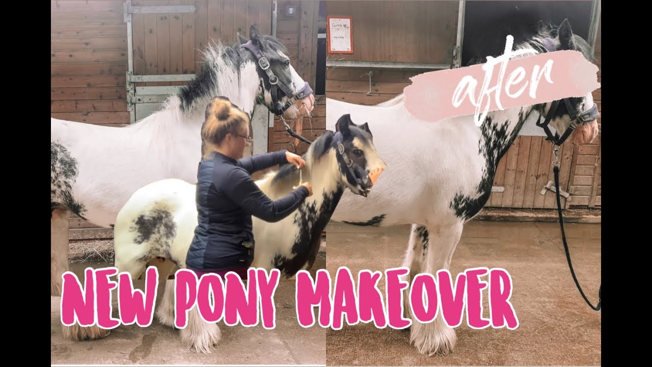 NEW PONY MAKEOVER The Norfolk Equestrian YouTube