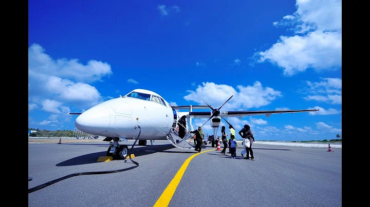 Spectacular Low Plane Landing Over Stunning Beach - Must See!