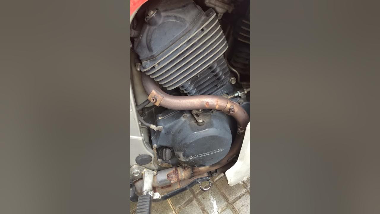 Transalp 89 bruit chaine de distribution YouTube