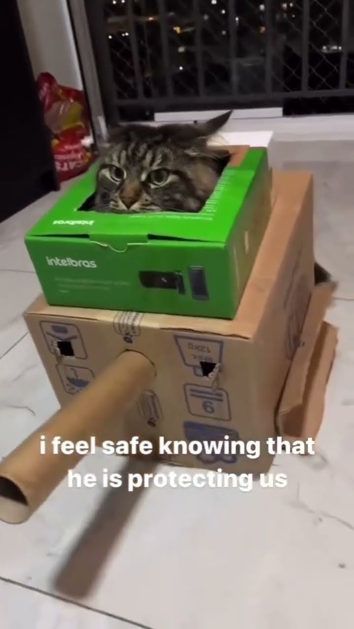 Kittyo like gah I am going to defend u gain twin