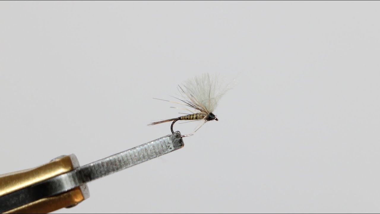 Montage mouche olive Clearance