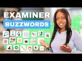 Top 5 Buzzwords GCSE Examiners LOVE (Boost Your Grades)