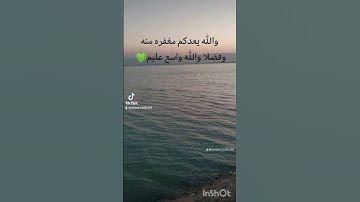 سورة البقرة #القرآن_الكريم تلاوة خاشعة