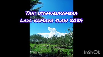 lada kamoro slow 2024