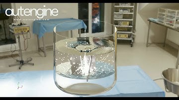 DEM Particle Multi-Phase Mixing