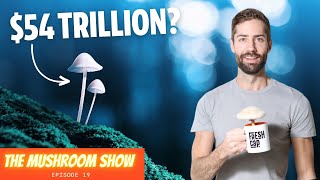 The Insane Value Of Mushrooms: Why Our World Wouldn't Function Without Fungi (TMS EP 19)