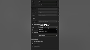 How To Export Transparent Background in Premiere Pro