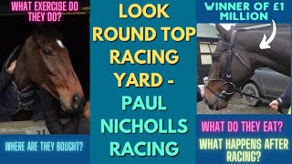 LOOK ROUND TOP RACING YARD | PAUL NICHOLLS | Behind the scenes