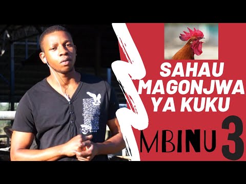 Video: Willow (picha 46): Majani Ya Mti Yanaonekanaje Na Ni Nini? Magonjwa, Spishi - Willow Ya Kawaida Na Wengine, Mfumo Wa Mizizi. Inakua Wapi?