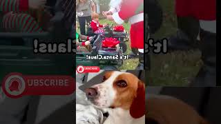 Santa Immediately Regrets This Gift!🎅 #funny #animals #fail #shortvideo