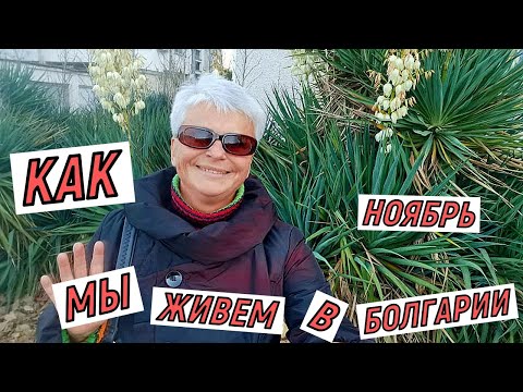 #vlog Жизнь на пенсии в Болгарии. Как живут русские пенсионеры в Болгарии. Ноябрь 2021.