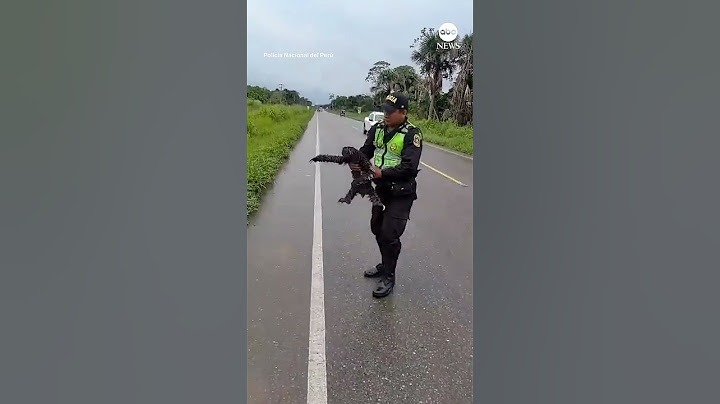 Police rescue sloth on the roadmamtabanerjee​ #kolkatadoctorcase​ #kolkata​