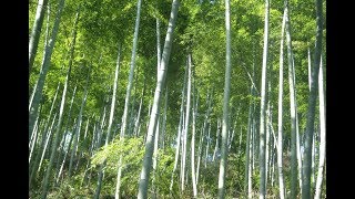 Machine Learning in R using caret: GBM (Gradient Boosting Machine) vs. Random Forest Machine Learning in R using caret: GBM (Gradient Boosting Machine) vs. Random Forest