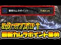 【5分でカムラポイント7万↑】最強ぶっ壊れ牡蠣拾い！最効率のカムラポイント稼ぎと装備・ルート解説！【MHR:SB/モンスターハンターライズ サンブレイク】