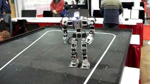 I-Hobby 2009 video-1