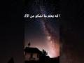 الله يعلم ما نشكو من الألم Part1 الله يعلم أنشودة إسلام Islam الله يعلم ما نشكو من الألم Part1 الله يعلم أنشودة إسلام Islam