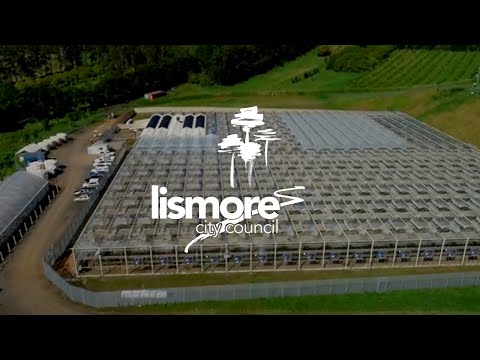 Lismore City Council | Agribusiness | Promotional Video | CannaPacific