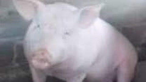 1:06 matrix comp (late join 🗿🗿)