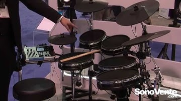 Alesis DM10X Mesh Kit & DM10 Studio Mesh Kit