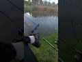 Spławik nigdy nie zawodzi - Wędkarstwo spławikowe