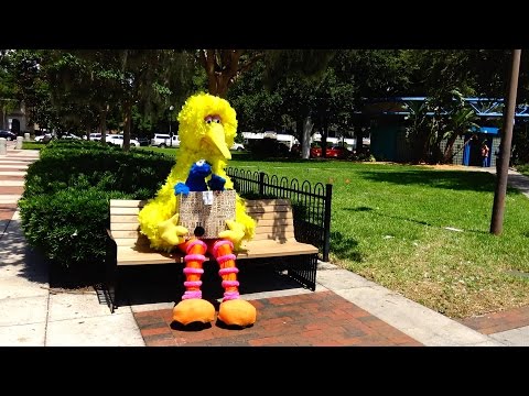 Видео: Чем заняться в парке Лейк-Эола в Орландо