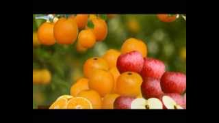 Freshy Orange (40s TVC) screenshot 4