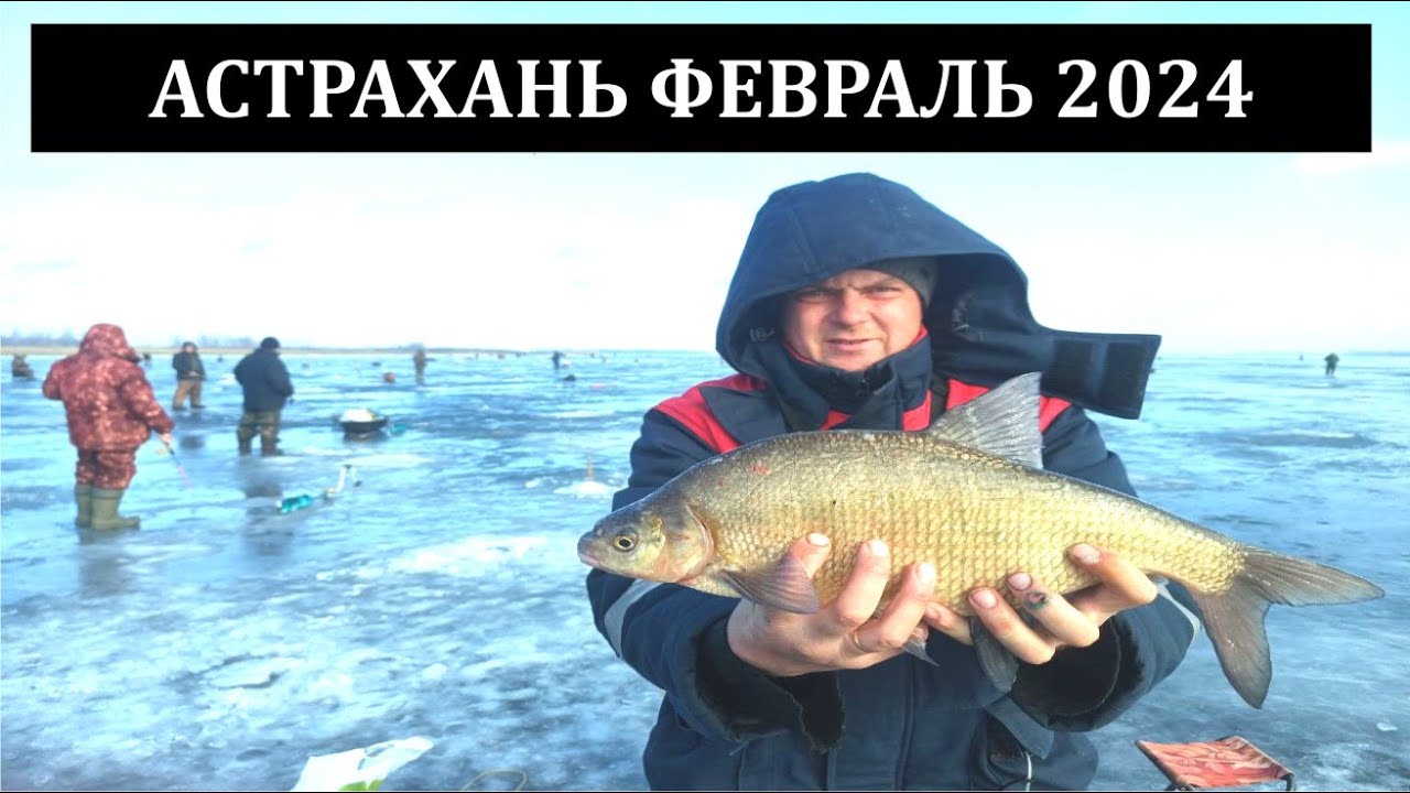 Где ловить в астрахани. Волга река астрахань рыбный промысел. Рыбалка в астрахани. Рыбалка в астраханской области. Где ловить в астрахани.