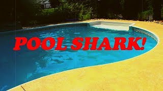 Pool Shark! Trailer