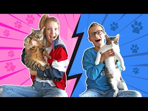 Our Cats Pick Our Slime Ingredients Challenge !!!