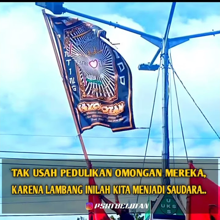 story wa bendera giant flag PSHT //story wa kupuja puja