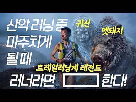 멧돼지 vs 귀신, 산악 러닝 중에 마주치면 더 무서운 것은?? 34년 경력 전설의 러너가 알려주는 전설의 고향!