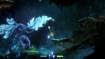 Ori and the Will of The Wisps - Bash ability spirit light container bug