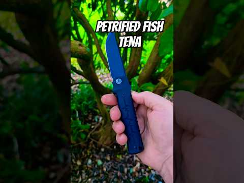The Petrified Fish Tena (gaw win from @EDCwithDBD & @warroomEDC)  
