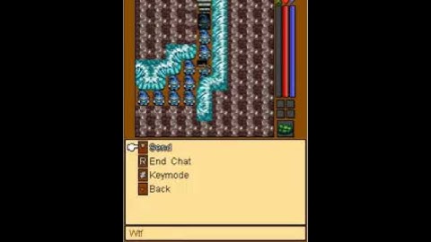 Tibiame Bug at dragon island