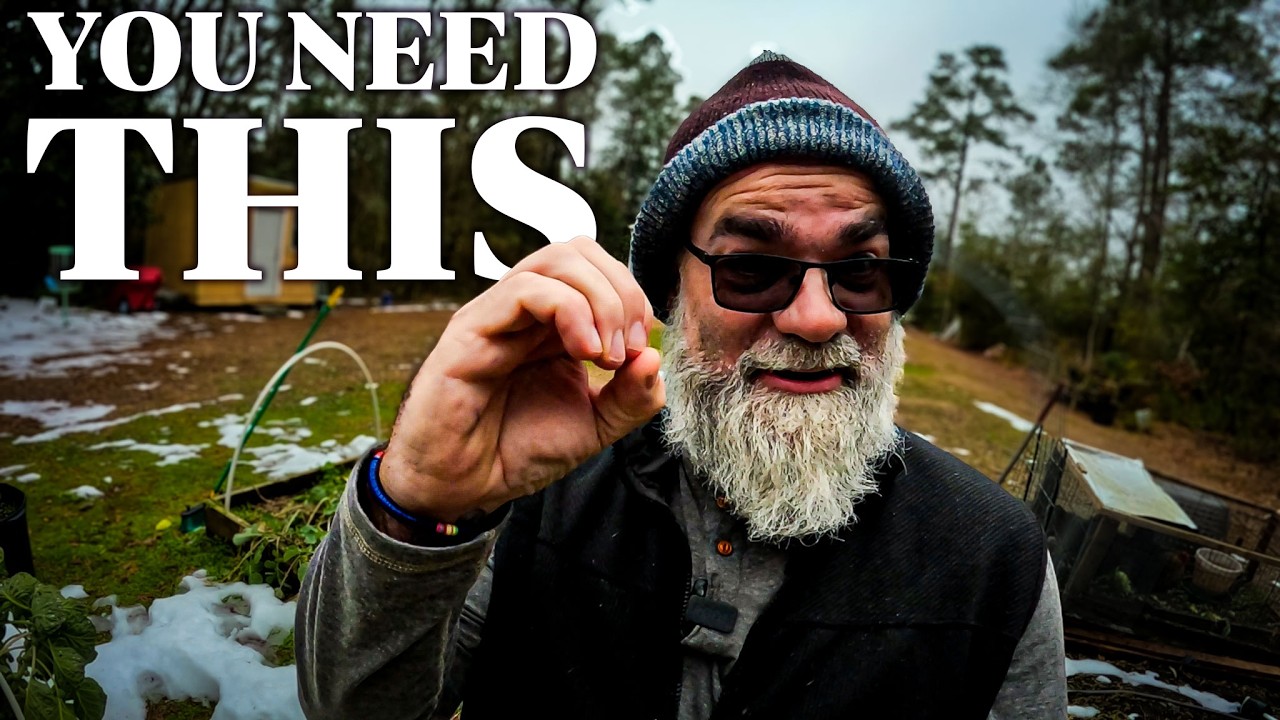 Именно это позволяет саду плодоносить круглый год.