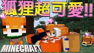 Minecraft＿冠冠生存EP#116:超可愛！我被狐狸母女萌殺了...【1.14】