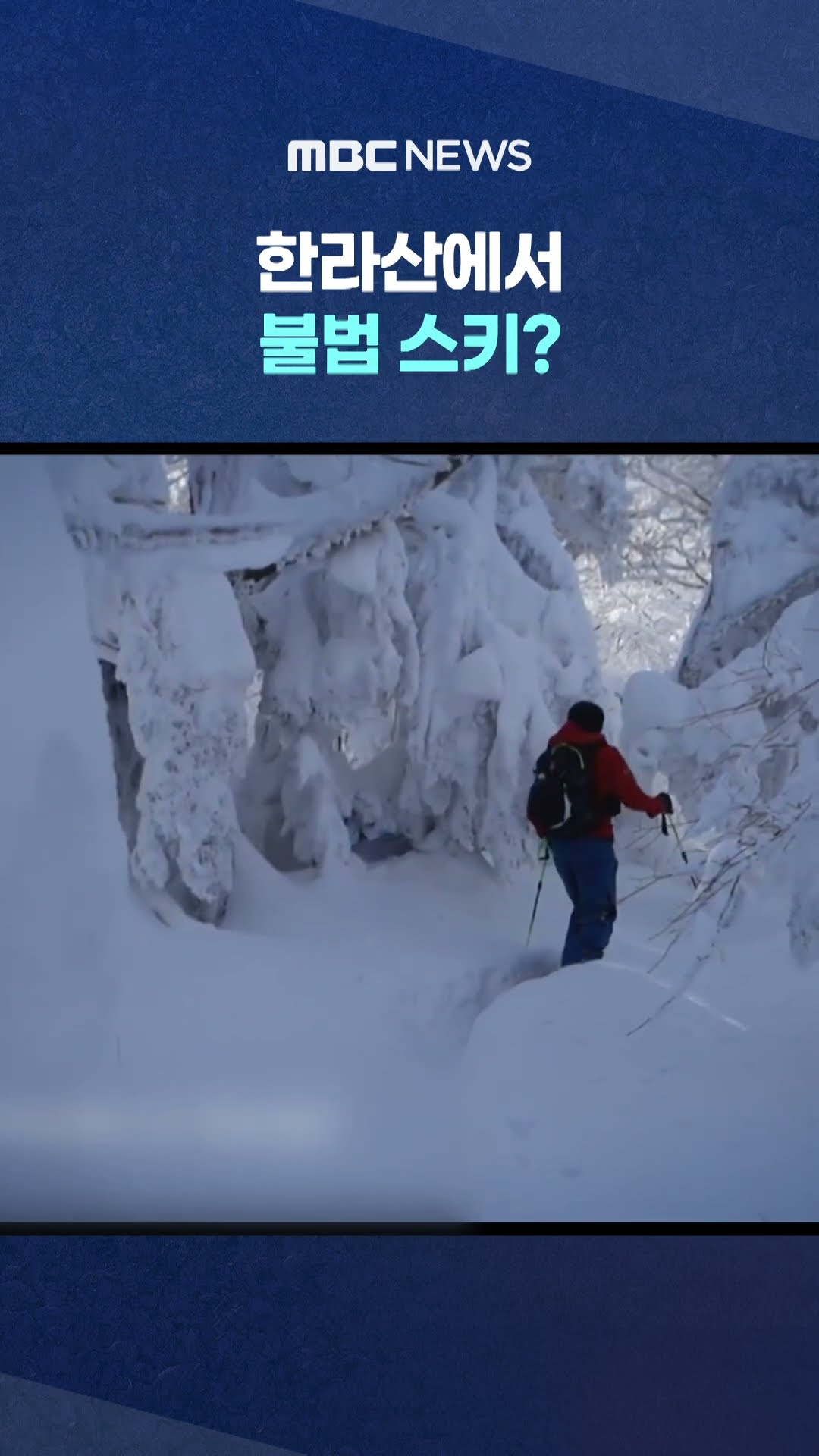불법 알고도 버젓이 #Shorts (MBC뉴스)