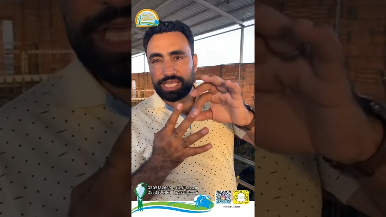 نصائح في تغذية الاغنام والماعز بالمناطق الحاره د. محمد بكر ولقاء خاص مع مزرعه النوادر ا.ماجد الصالحي