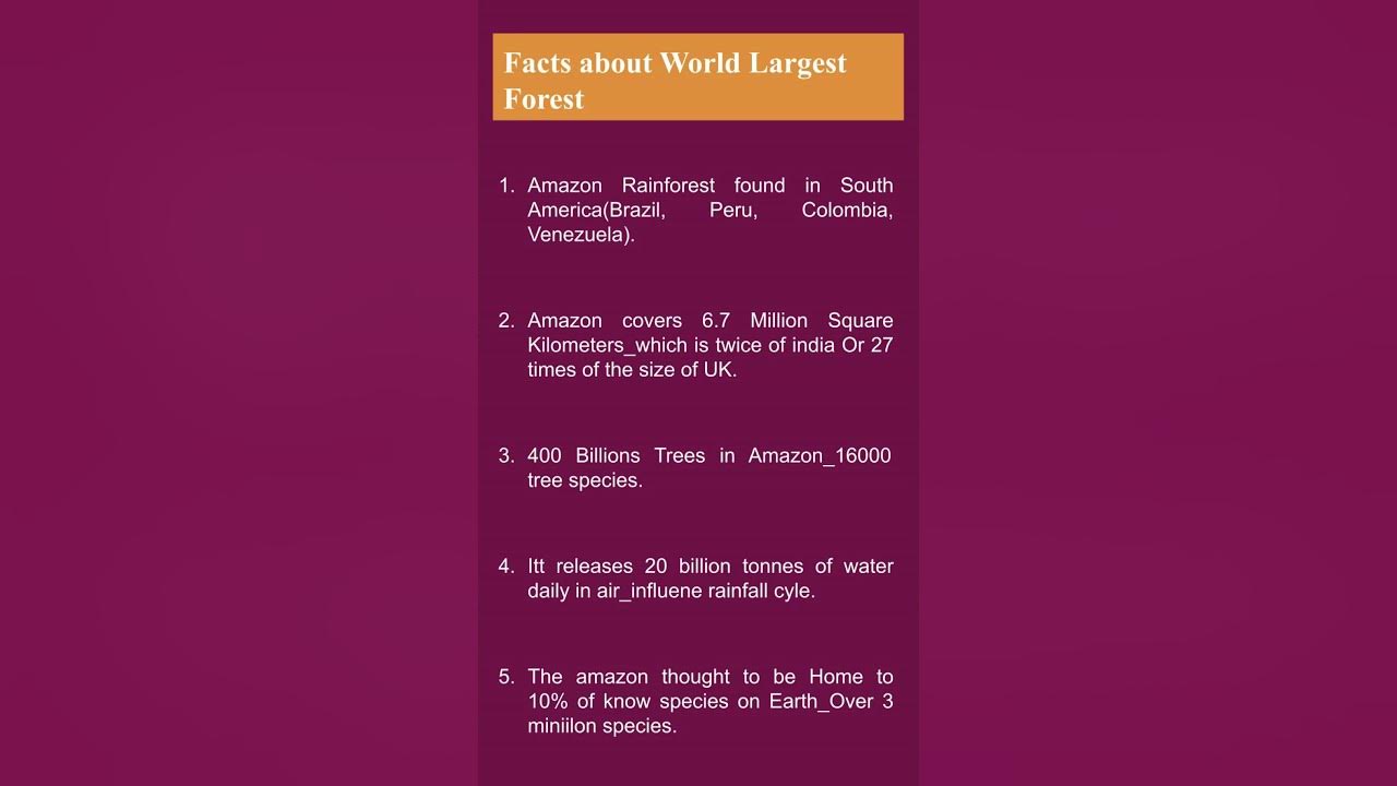 facts-about-world-largest-forest-amazon-forest-shorts