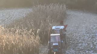 Dva Duplaka Za Jedanoredni Berac Sip. Same Dorado 70 I Universal 550