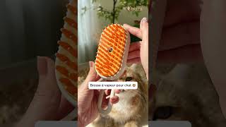 Brosse à vapeur 3 en 1 pour chat ! #brosse #chats screenshot 2