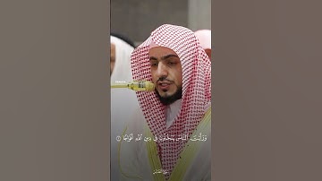 سورة النصر || تلاوة الشيخ الوليد الشمسان