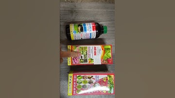 Top 3 loại trừ ruồi vàng sâu đục trái  hiệu quả, lưu dẫn kéo dài